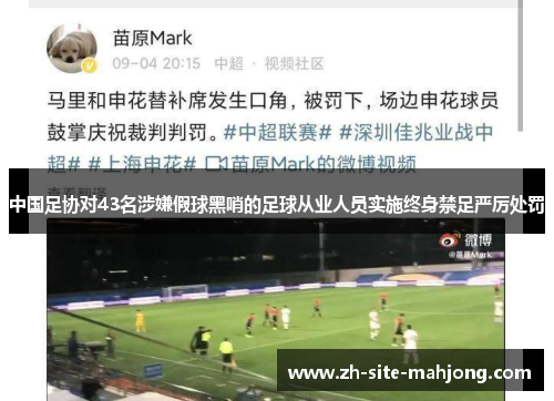 中国足协对43名涉嫌假球黑哨的足球从业人员实施终身禁足严厉处罚 中国足协对43名涉嫌假球黑哨的足球从业人员实施终身禁足严厉处罚