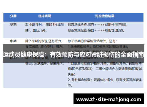 运动员健康保障：有效预防与应对肾脏损伤的全面指南