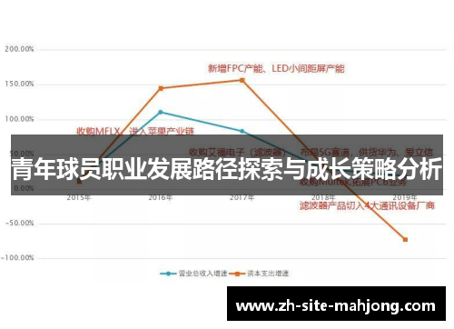 青年球员职业发展路径探索与成长策略分析